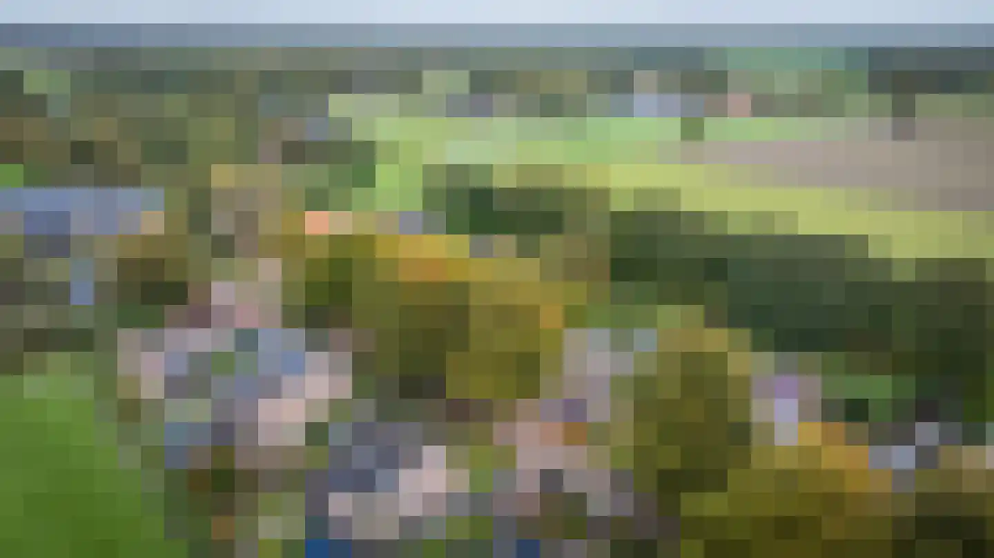 Rollestraat 10 Wapse thumbnail 58