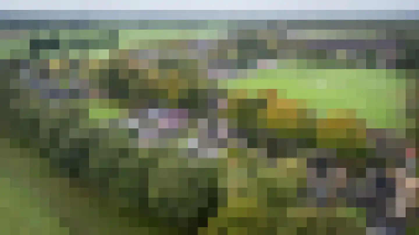 Rollestraat 10 Wapse thumbnail 59