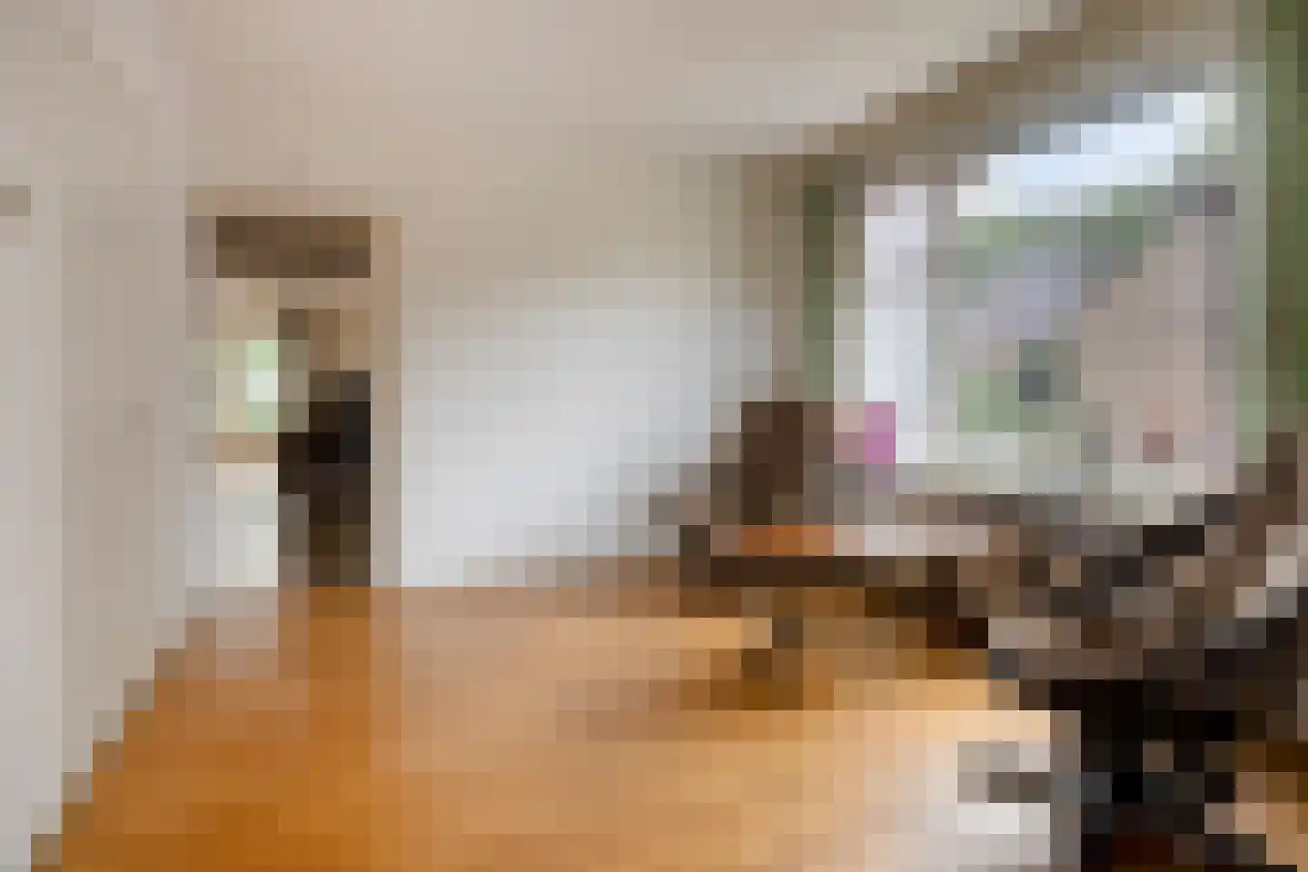Rollestraat 10 Wapse thumbnail 6