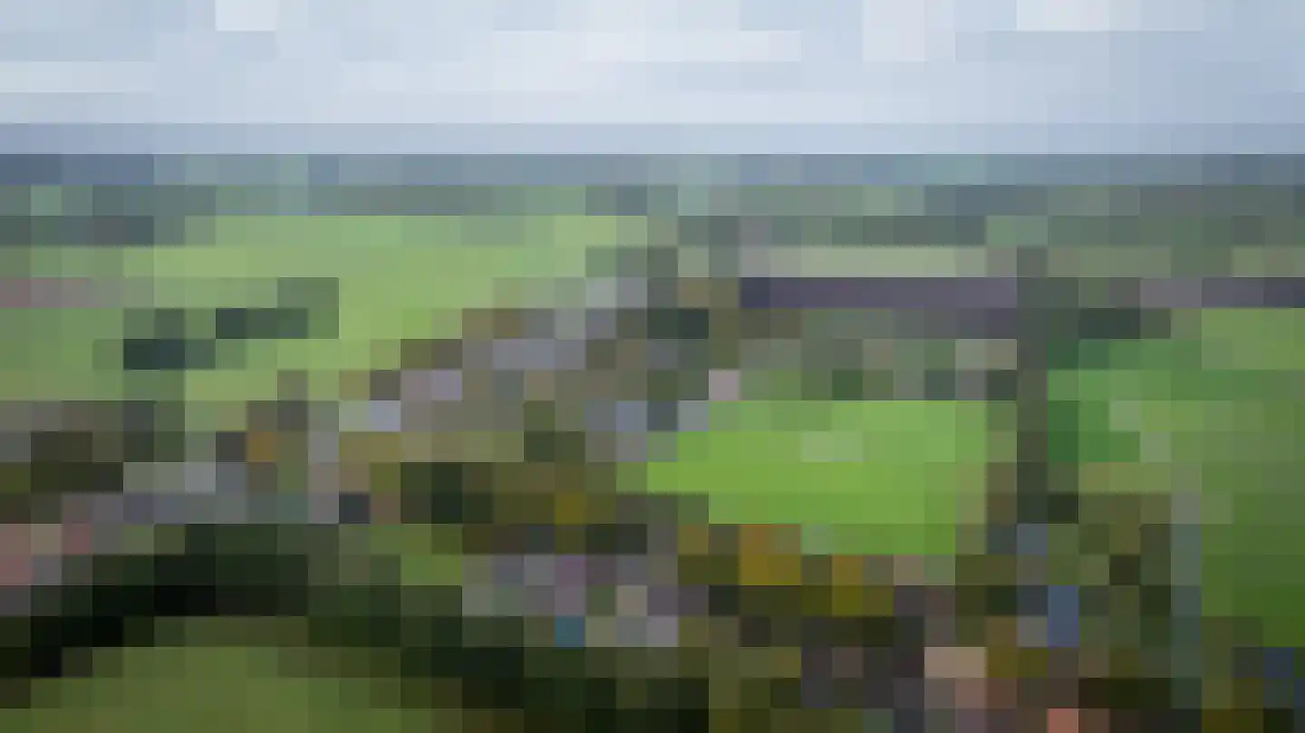 Rollestraat 10 Wapse thumbnail 60