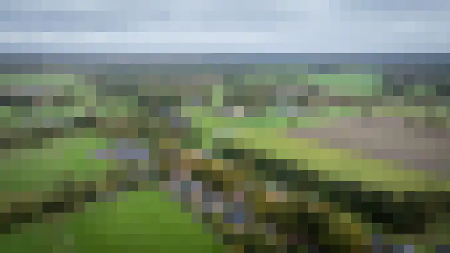 Rollestraat 10 Wapse thumbnail 61