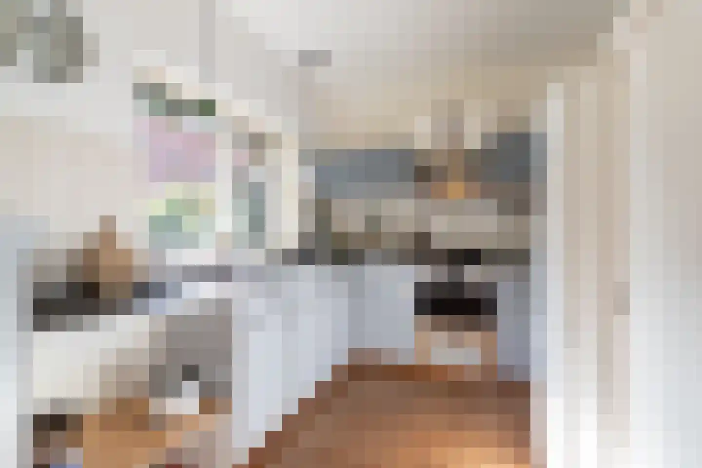 Rollestraat 39 Wapse thumbnail 14