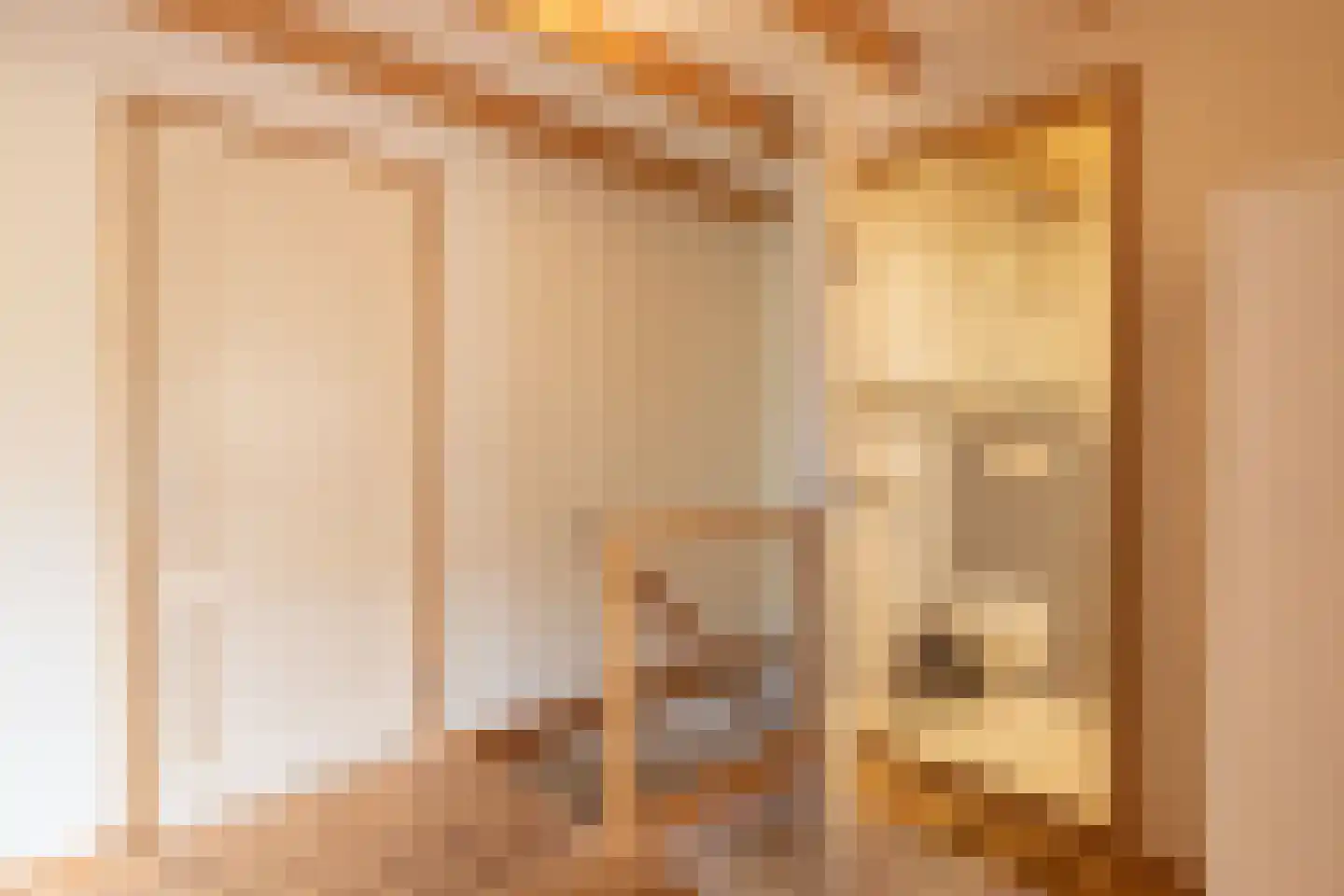 Rollestraat 39 Wapse thumbnail 17