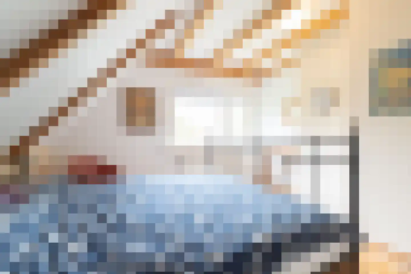 Rollestraat 39 Wapse thumbnail 21