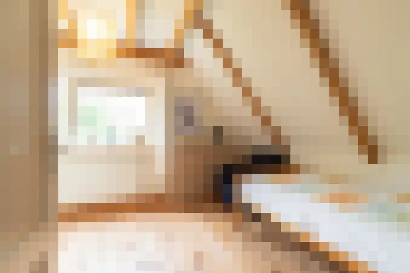Rollestraat 39 Wapse thumbnail 22