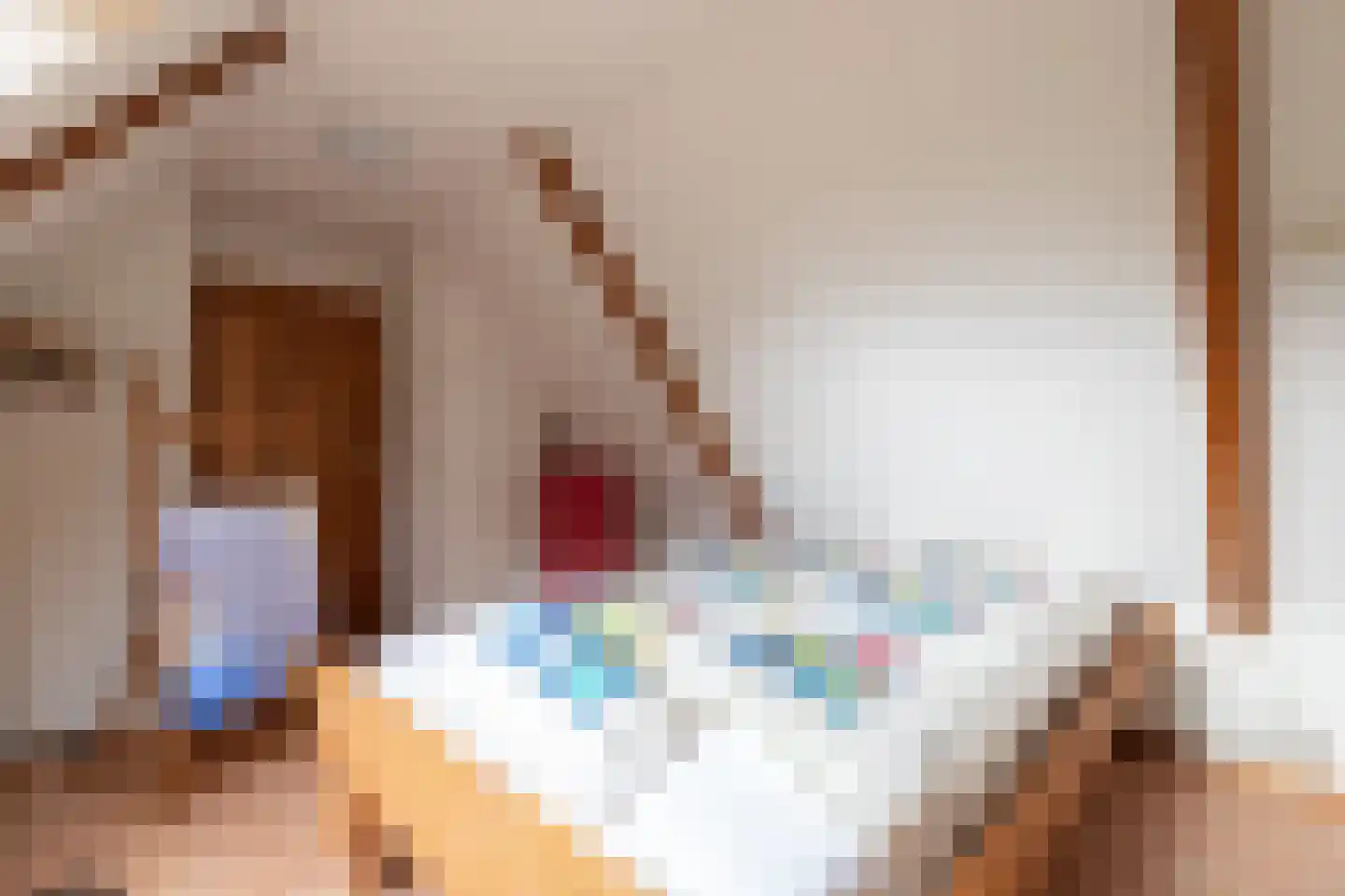 Rollestraat 39 Wapse thumbnail 24
