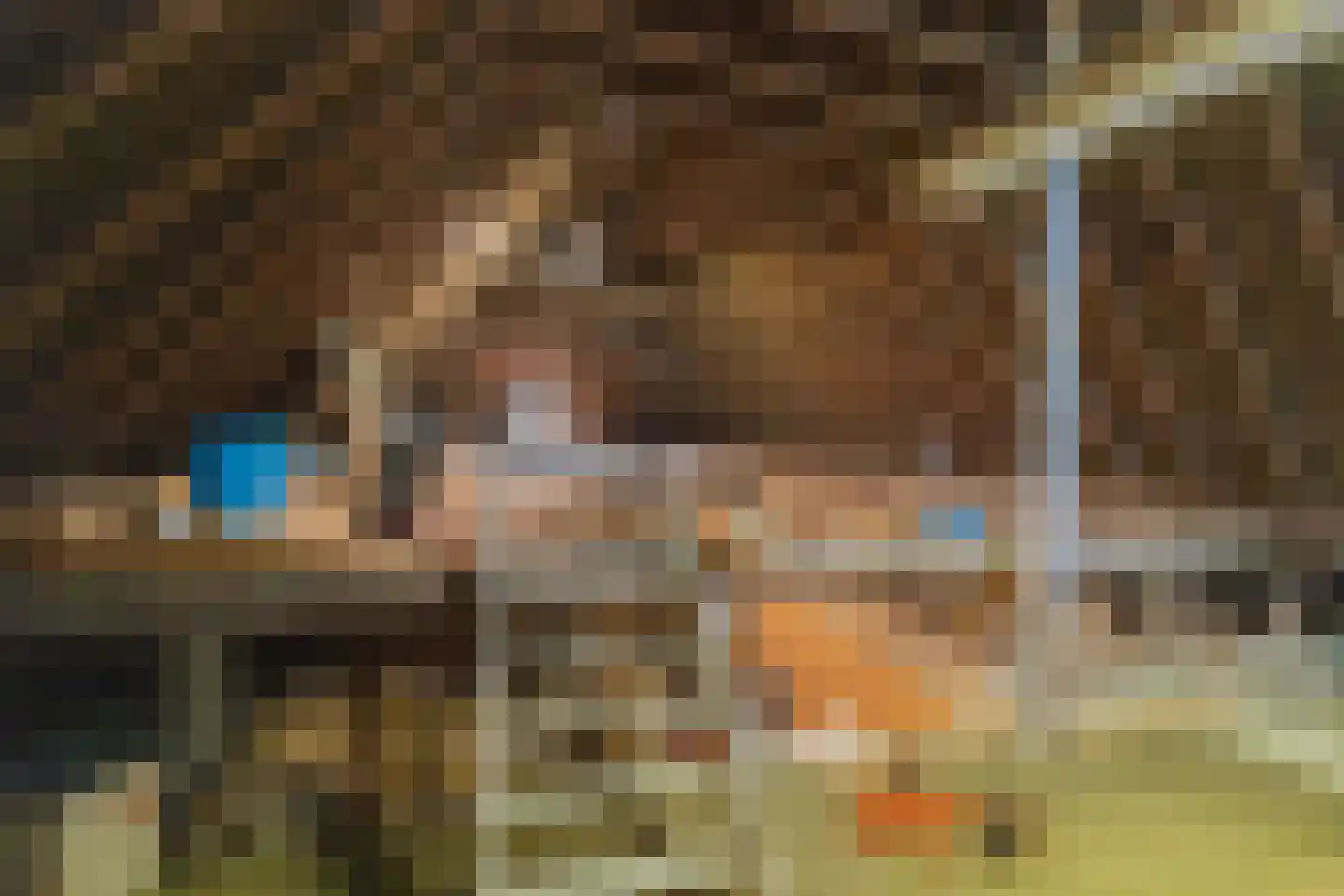 Rollestraat 39 Wapse thumbnail 25