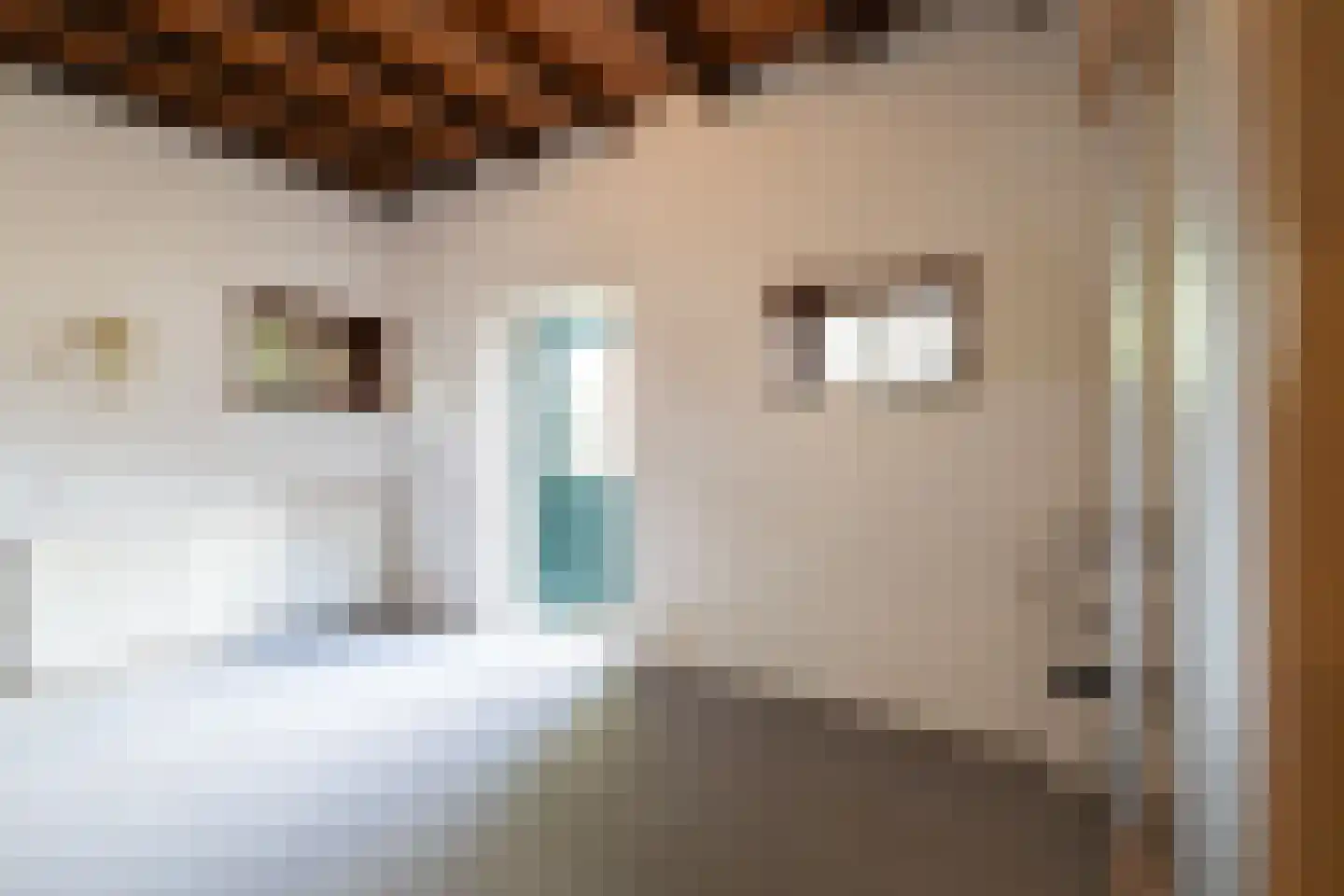 Rollestraat 39 Wapse thumbnail 26