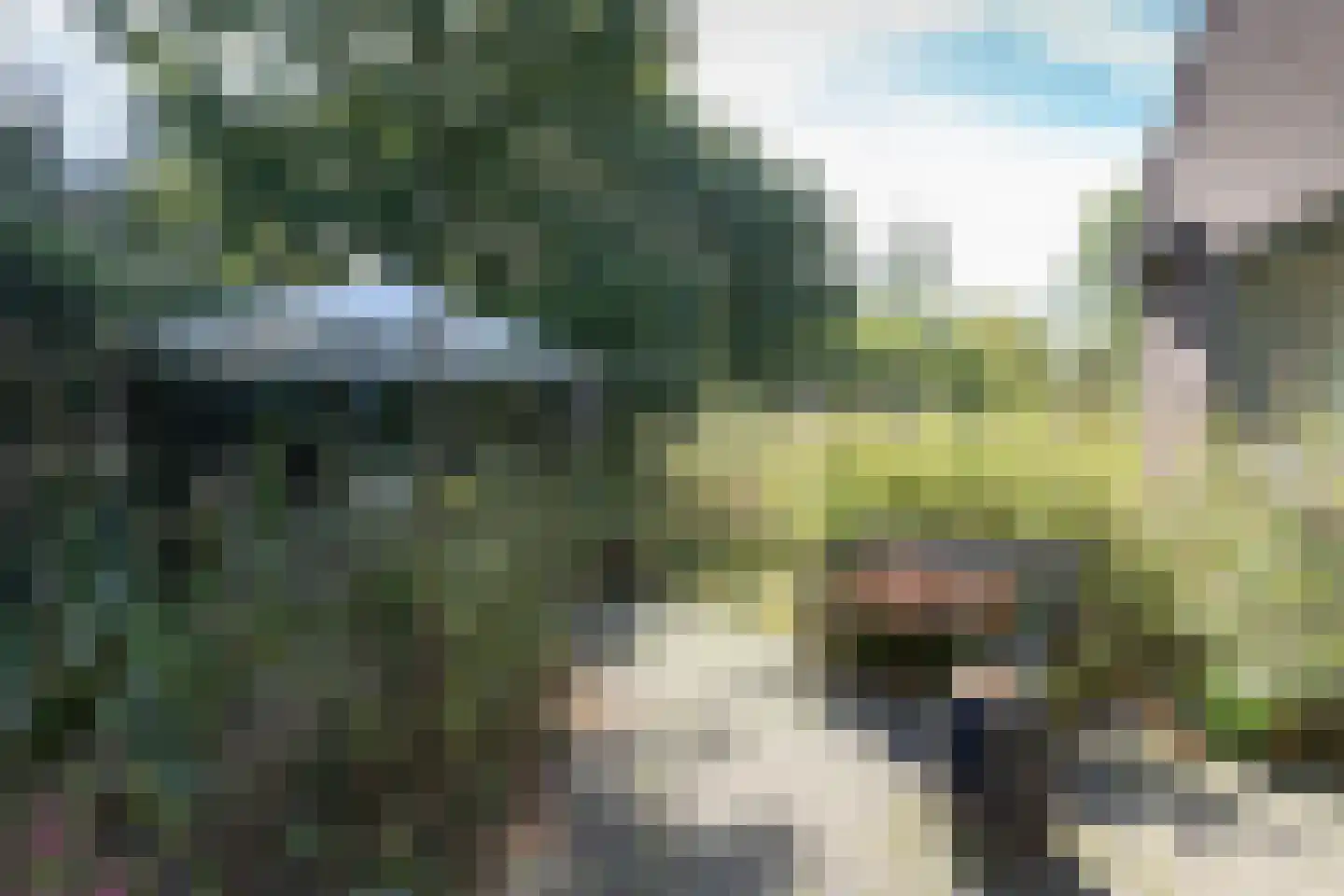 Rollestraat 39 Wapse thumbnail 27