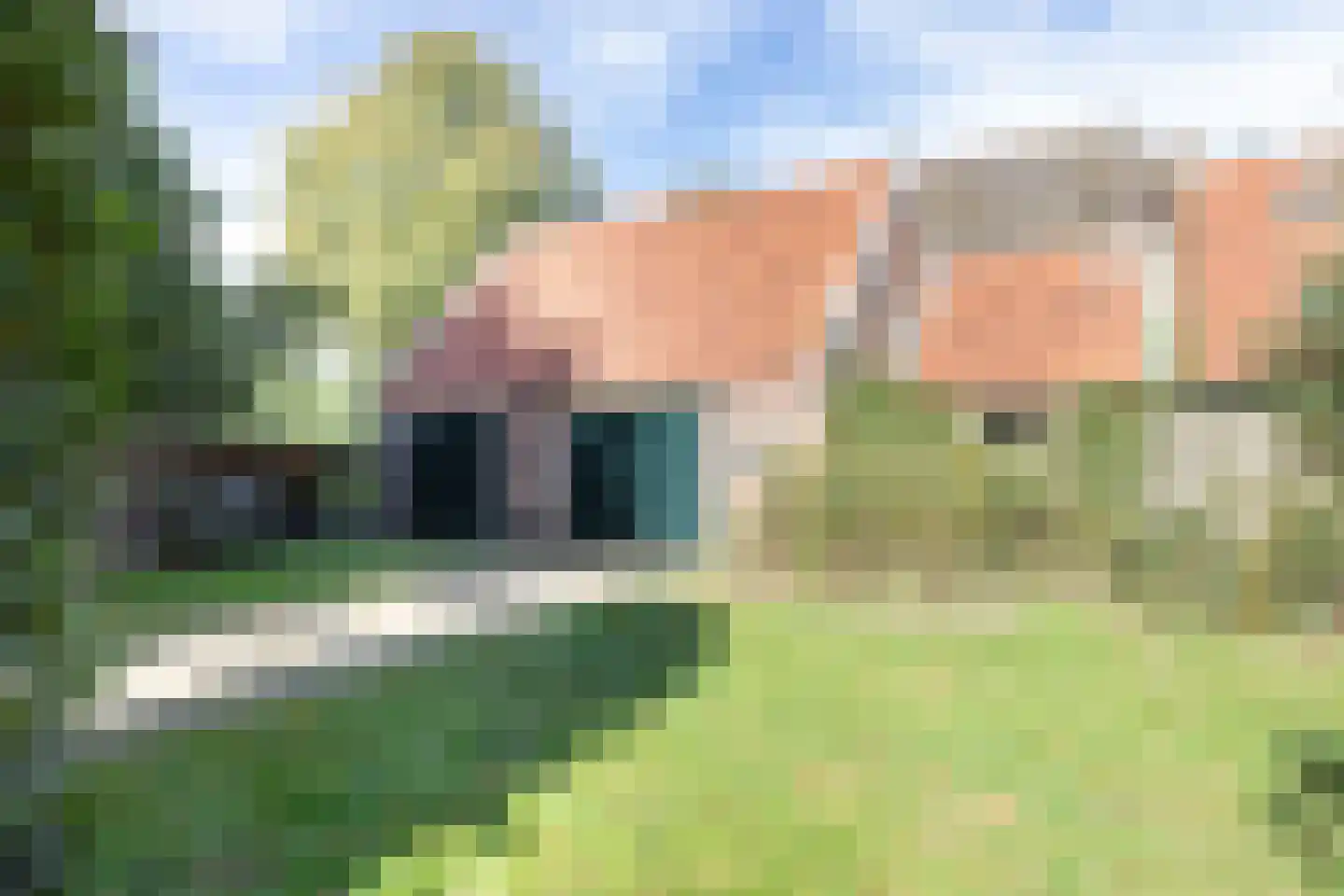 Rollestraat 39 Wapse thumbnail 29