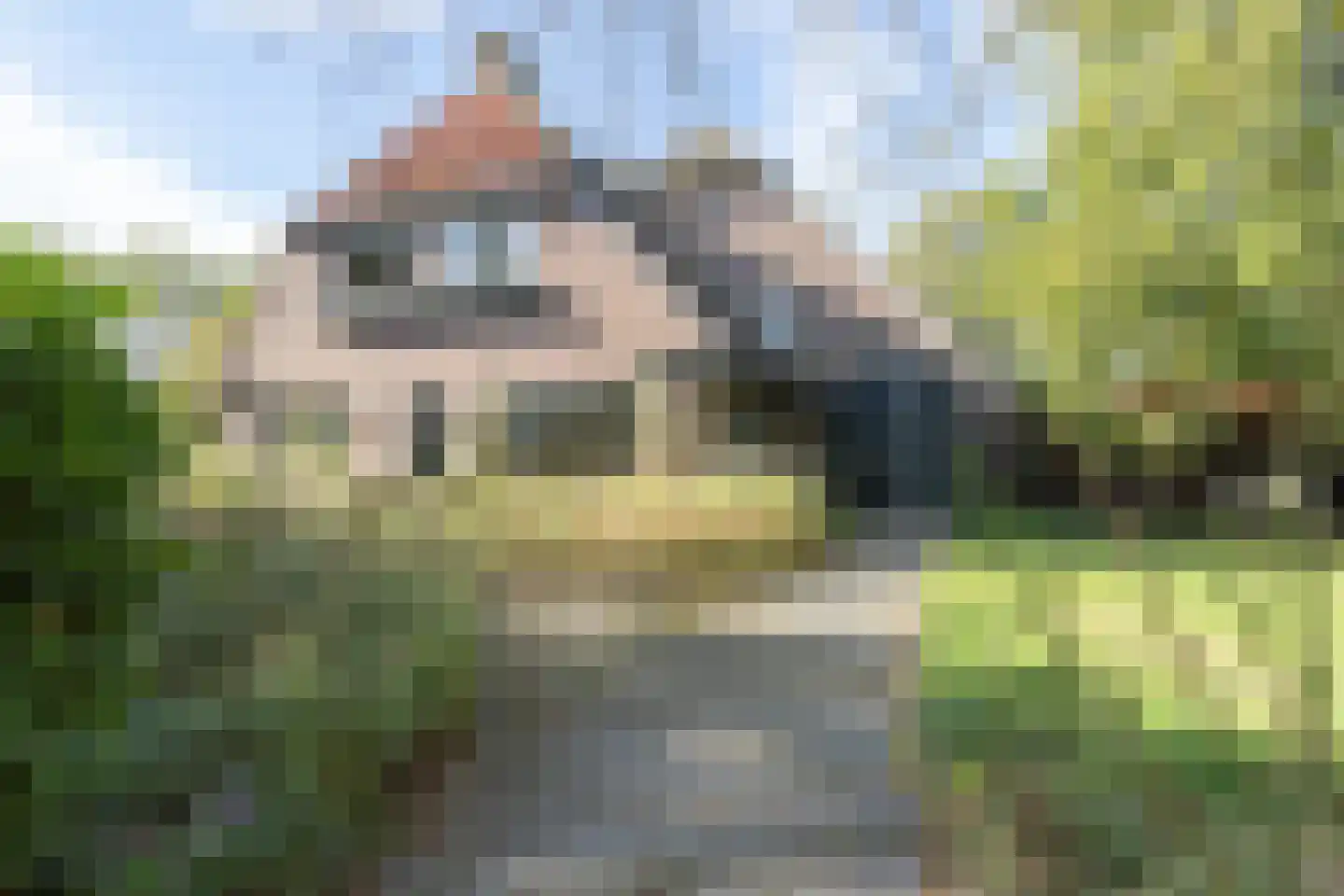 Rollestraat 39 Wapse thumbnail 30