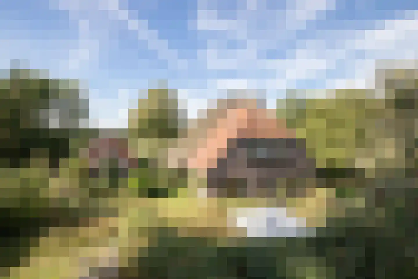 Rollestraat 39 Wapse thumbnail 31