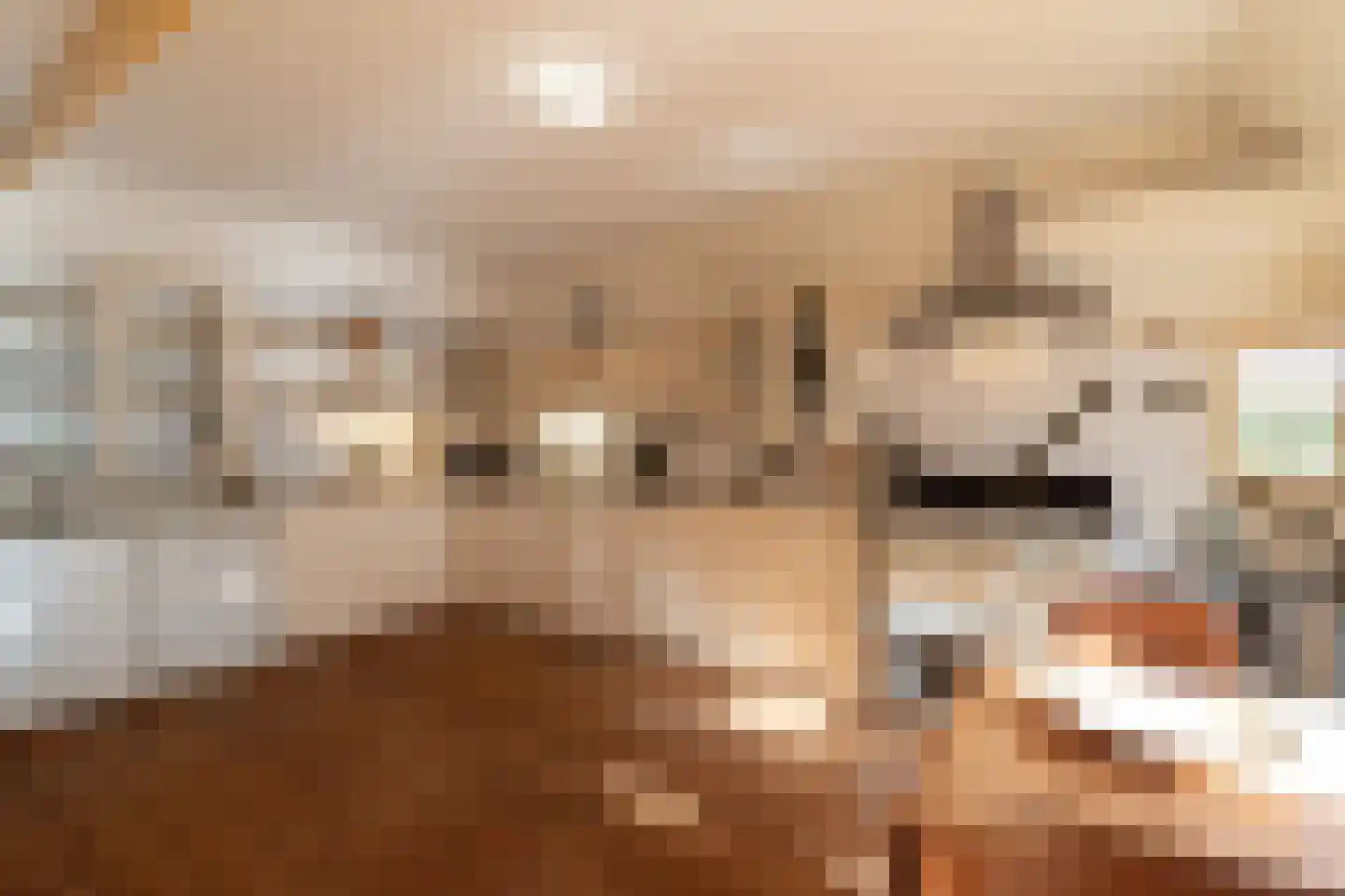 Rollestraat 39 Wapse thumbnail 41
