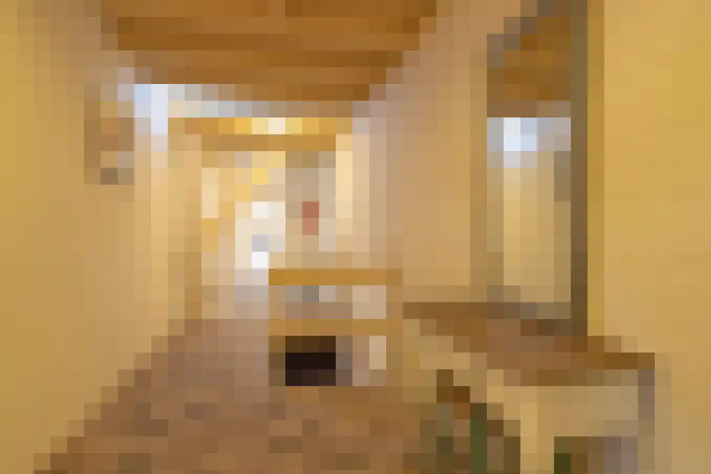 Rollestraat 39 Wapse thumbnail 45