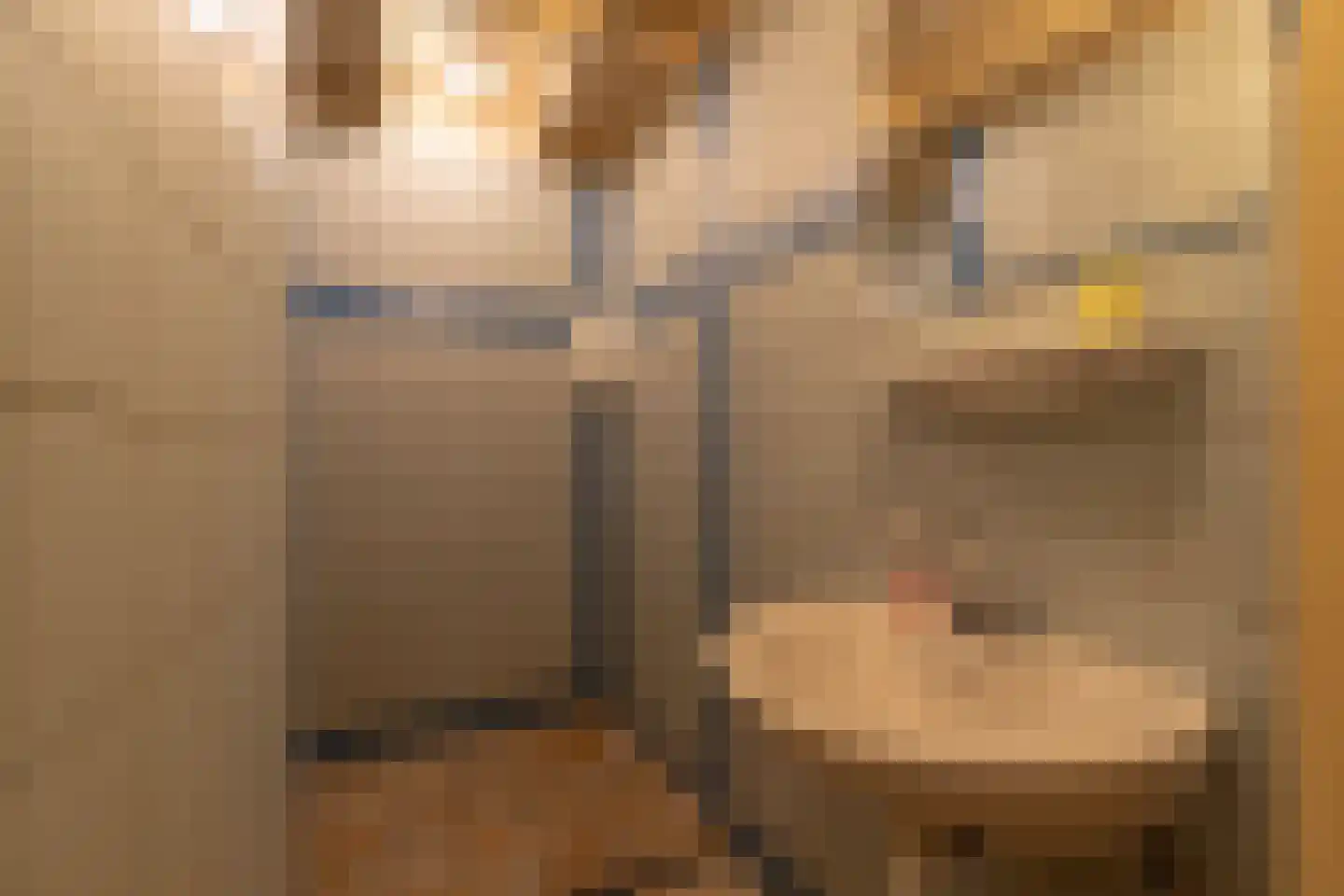 Rollestraat 39 Wapse thumbnail 47