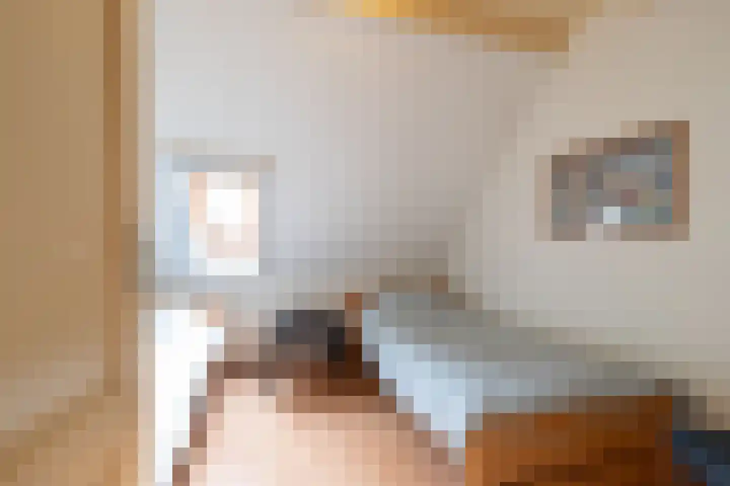 Rollestraat 39 Wapse thumbnail 50
