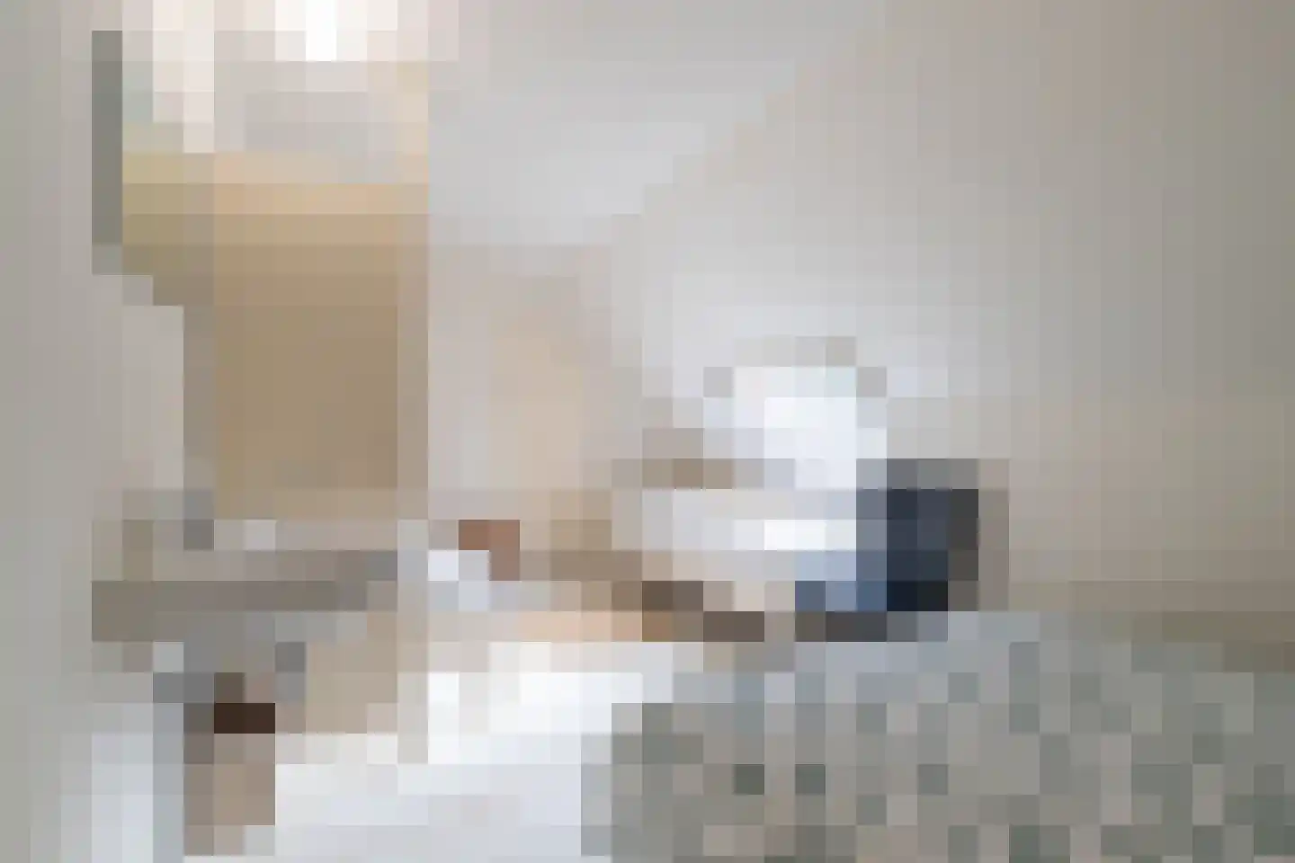 Rollestraat 39 Wapse thumbnail 51