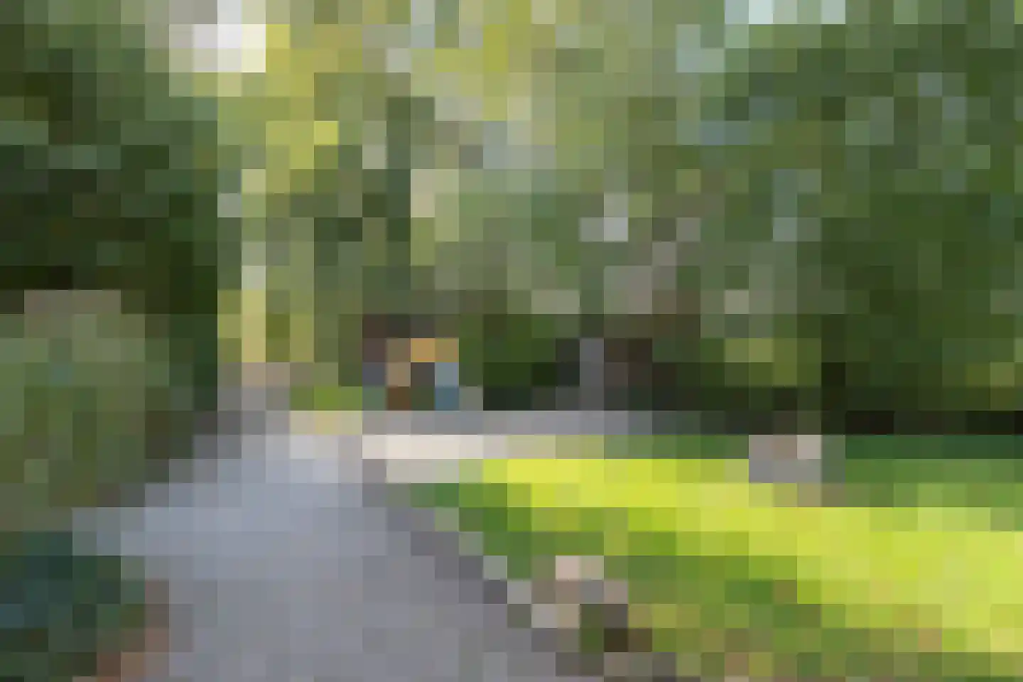 Rollestraat 39 Wapse thumbnail 57