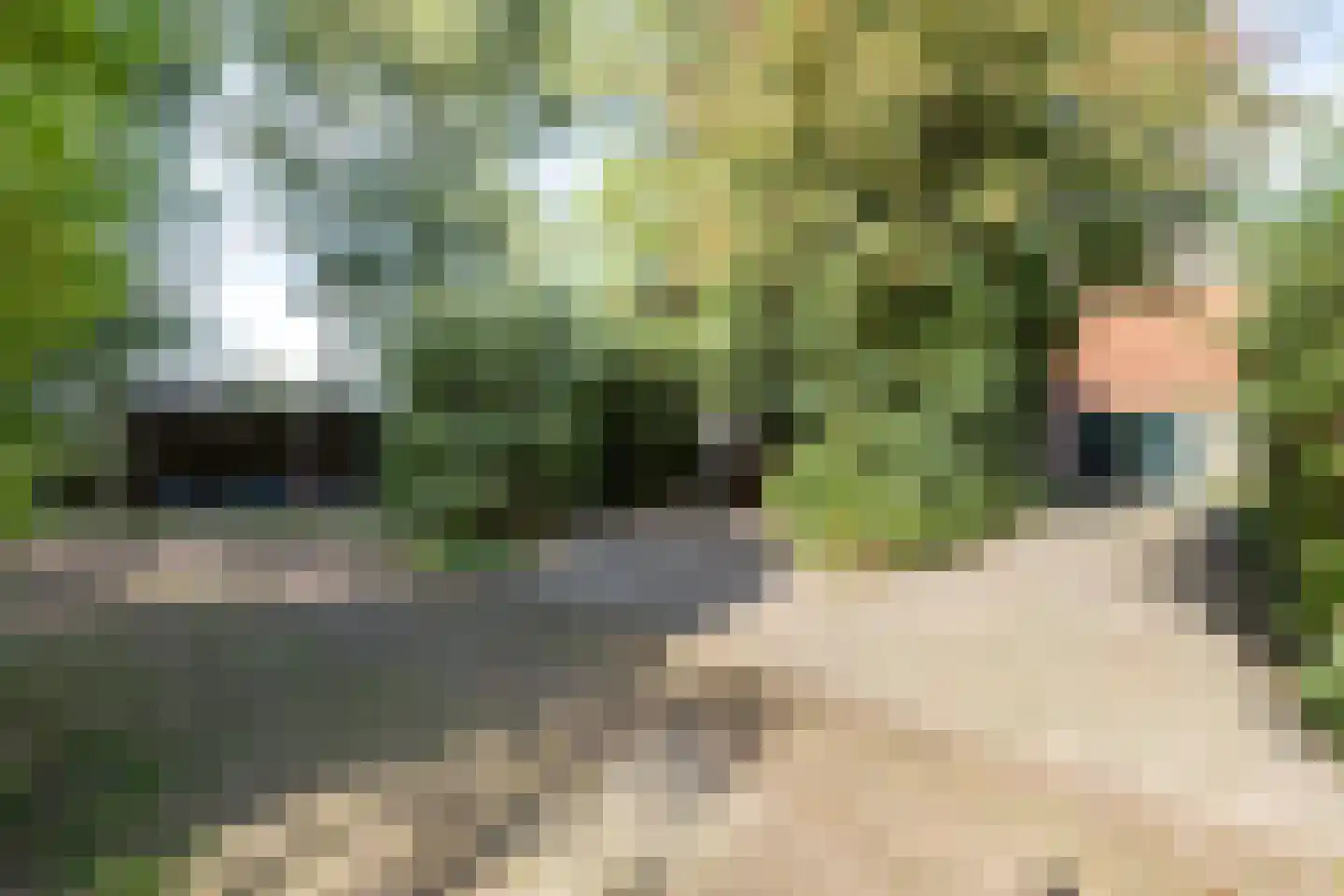 Rollestraat 39 Wapse thumbnail 61
