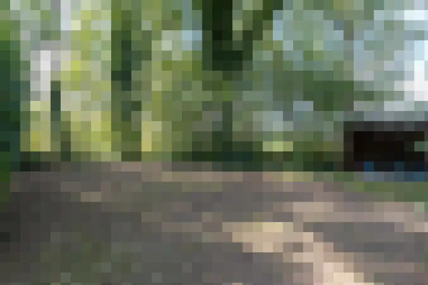 Rollestraat 39 Wapse thumbnail 62