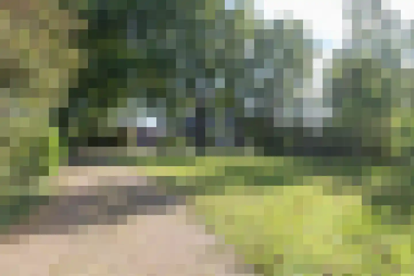 Rollestraat 39 Wapse thumbnail 63