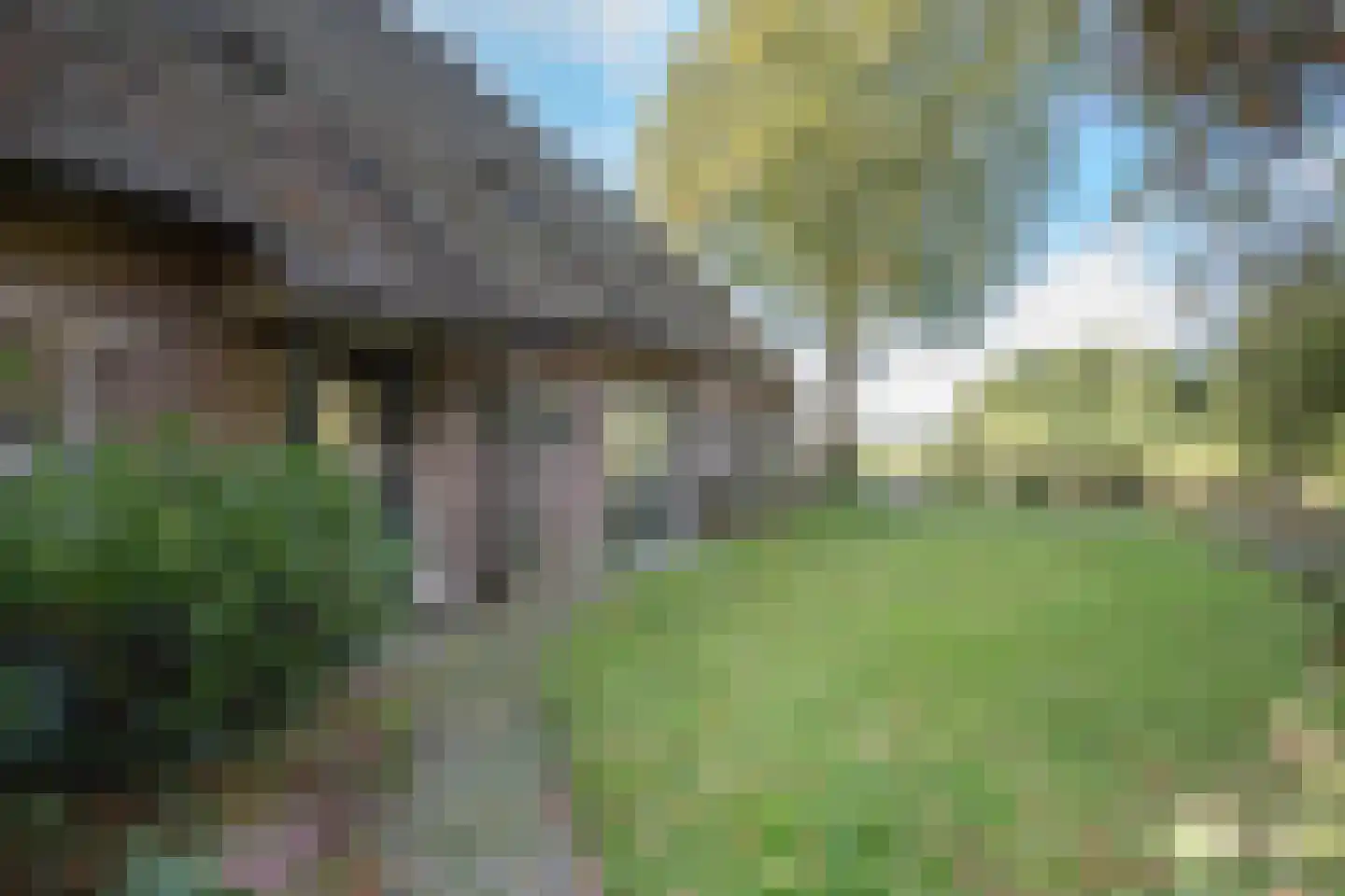Rollestraat 39 Wapse thumbnail 65