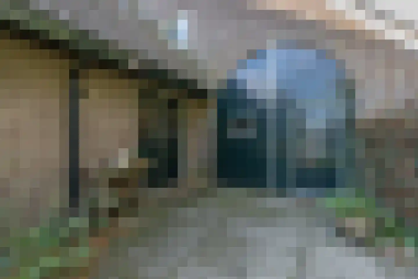 Rollestraat 39 Wapse thumbnail 7