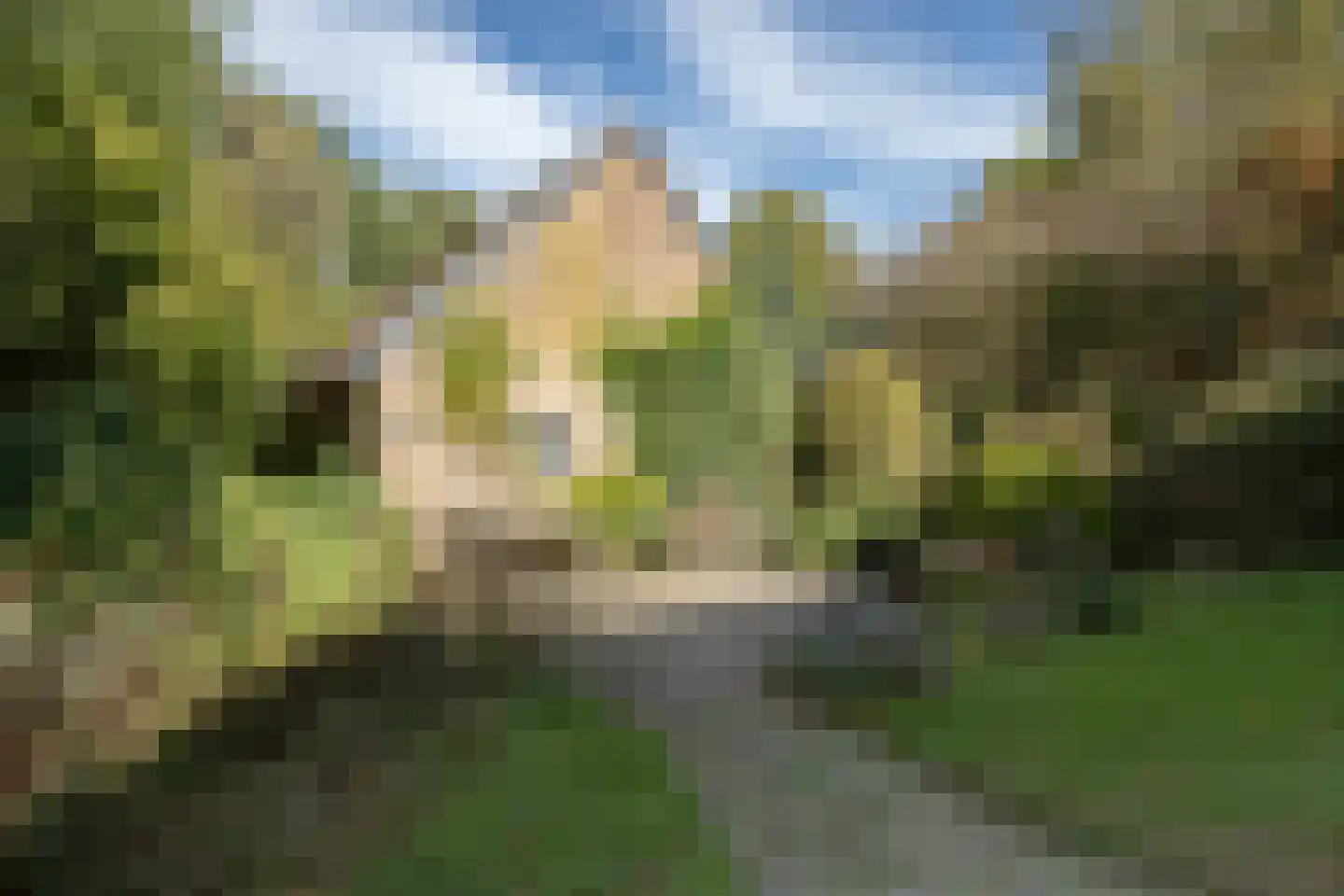 Rollestraat 39 Wapse thumbnail 83