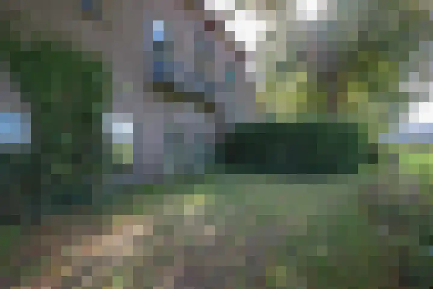 Rollestraat 39 Wapse thumbnail 84