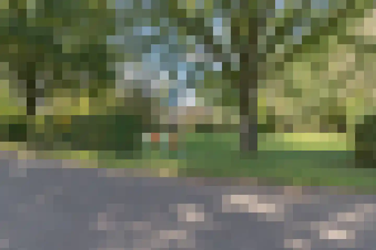Rollestraat 39 Wapse thumbnail 85