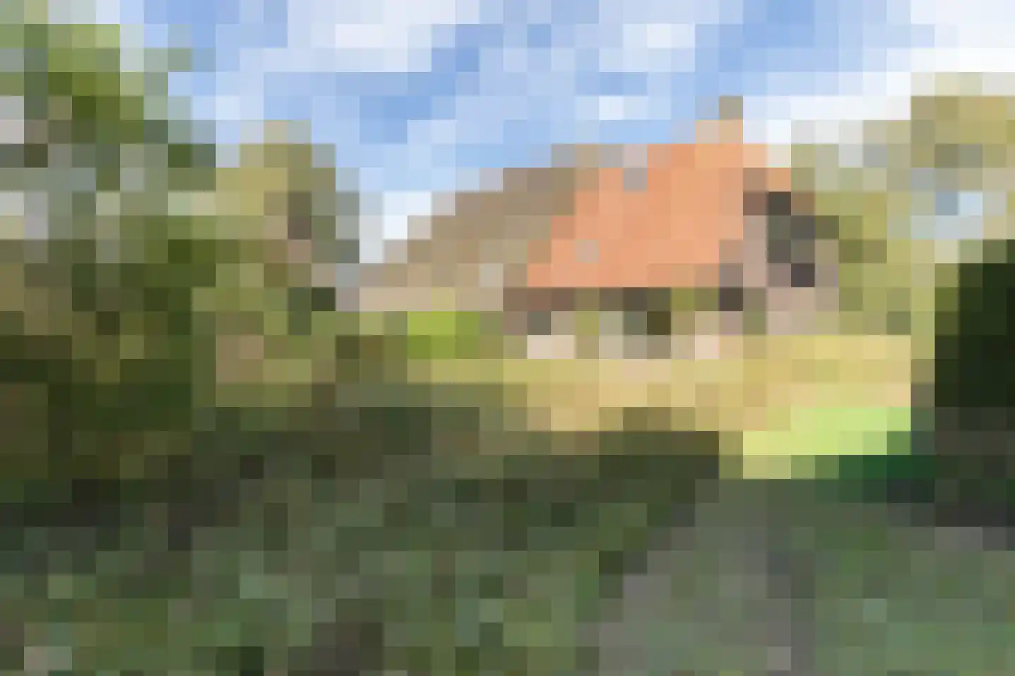 Rollestraat 39 Wapse thumbnail 89