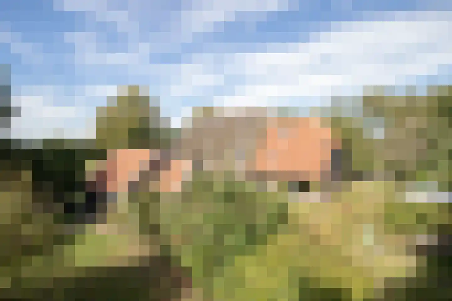Rollestraat 39 Wapse thumbnail 90