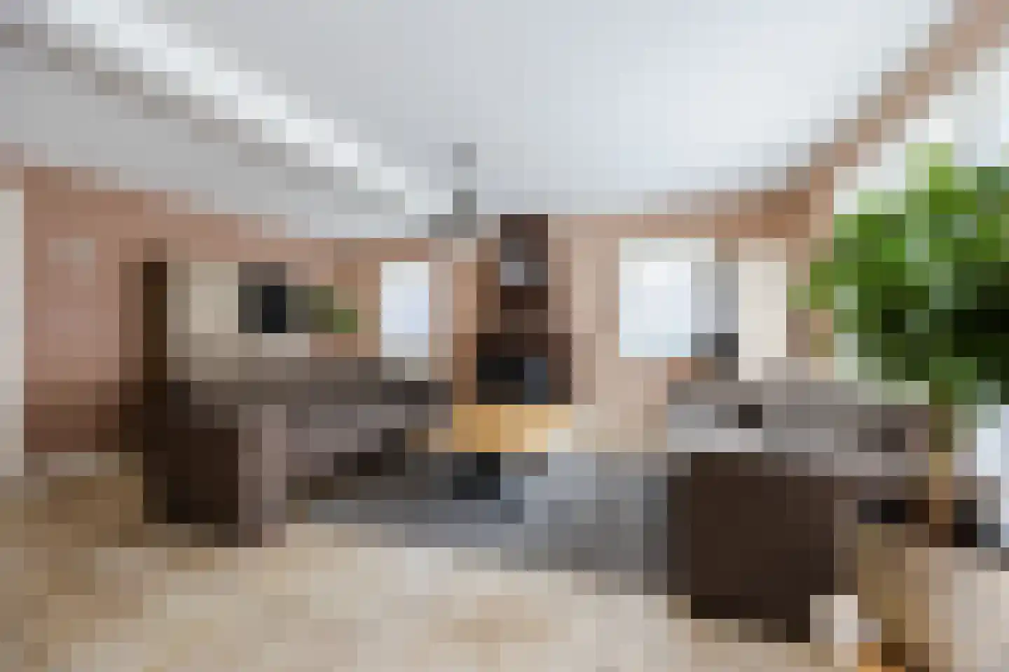 Rolleweg 42 Oud Gastel thumbnail 13