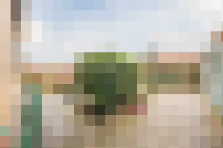 Rolleweg 48 Oud Gastel thumbnail 36