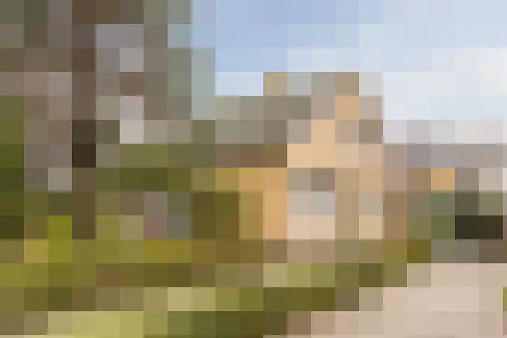 Rolleweg 48 Oud Gastel thumbnail 6