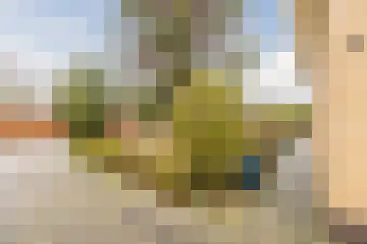 Rolleweg 48 Oud Gastel thumbnail 8