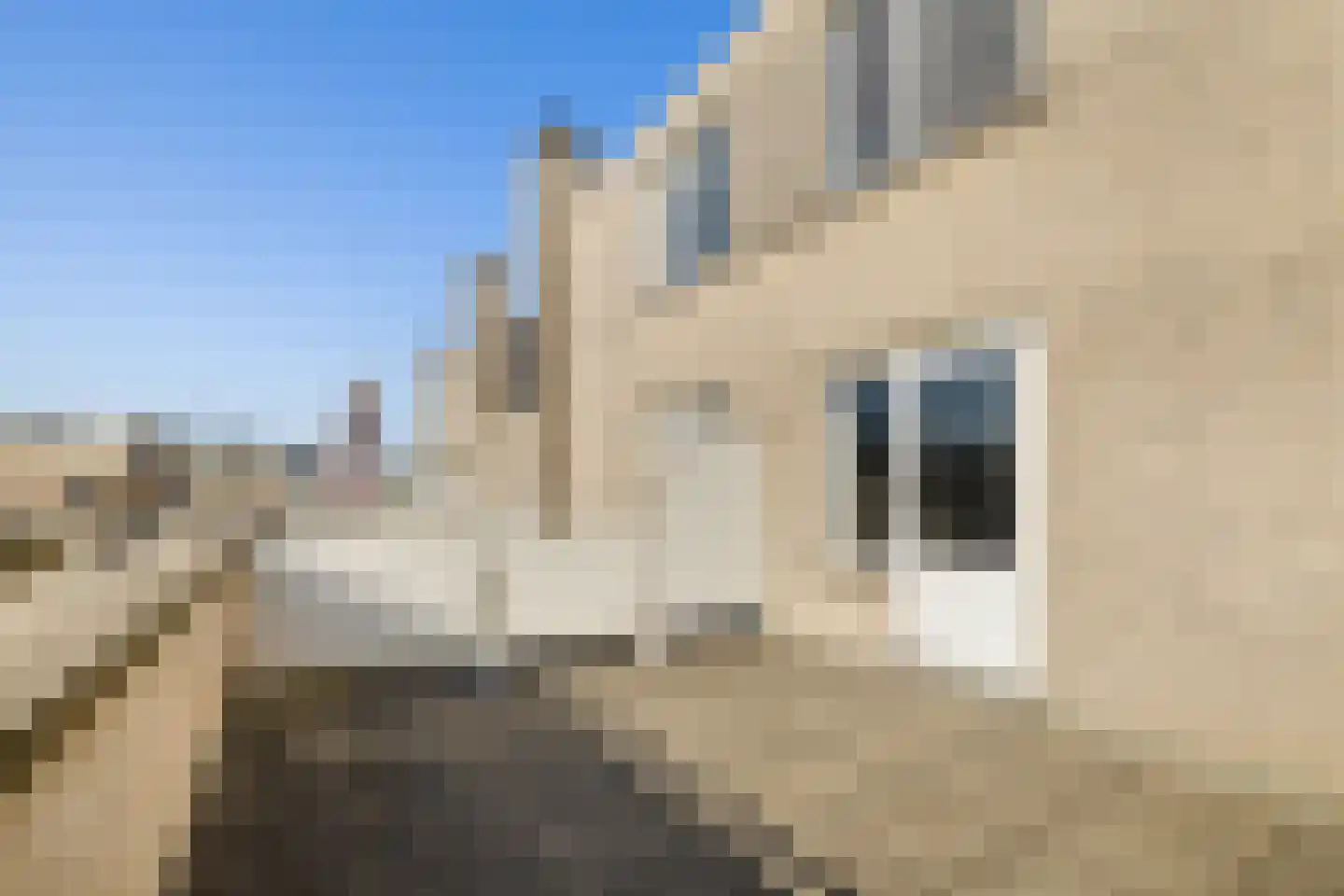 Rolling Stonesstraat 17 Almere thumbnail 20