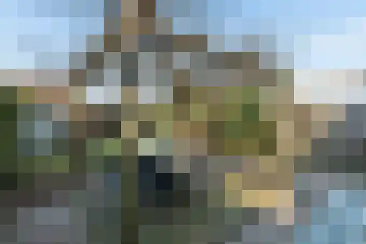 Rolling Stonesstraat 91 Lent thumbnail 33