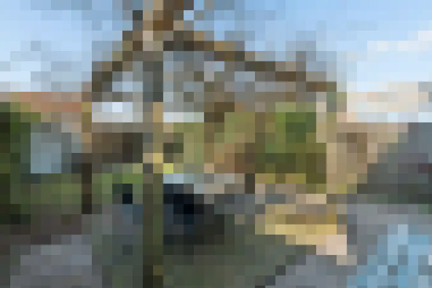 Rolling Stonesstraat 91 Lent thumbnail 33