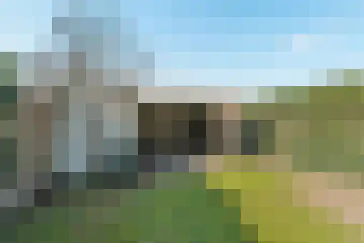 Rolling Stonesstraat 91 Lent thumbnail 35
