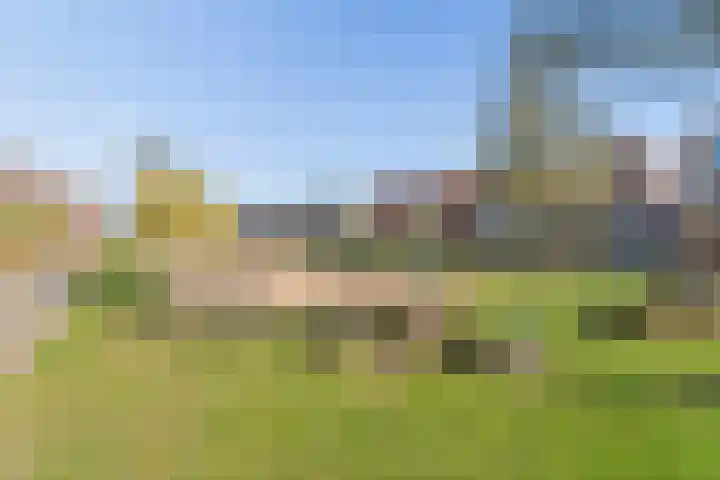 Rolling Stonesstraat 91 Lent thumbnail 41