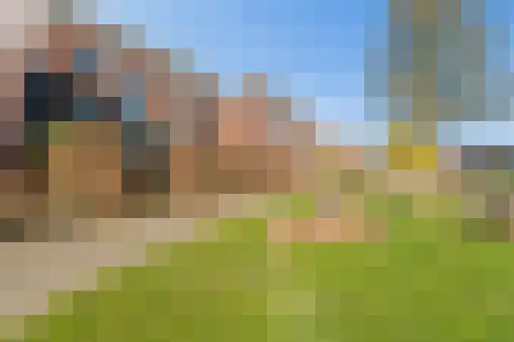 Rolling Stonesstraat 91 Lent thumbnail 42