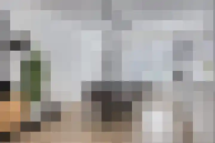 Rolpaal 18 IJsselmuiden thumbnail 7