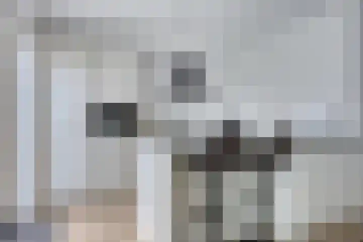 Rolpaal 18 IJsselmuiden thumbnail 8