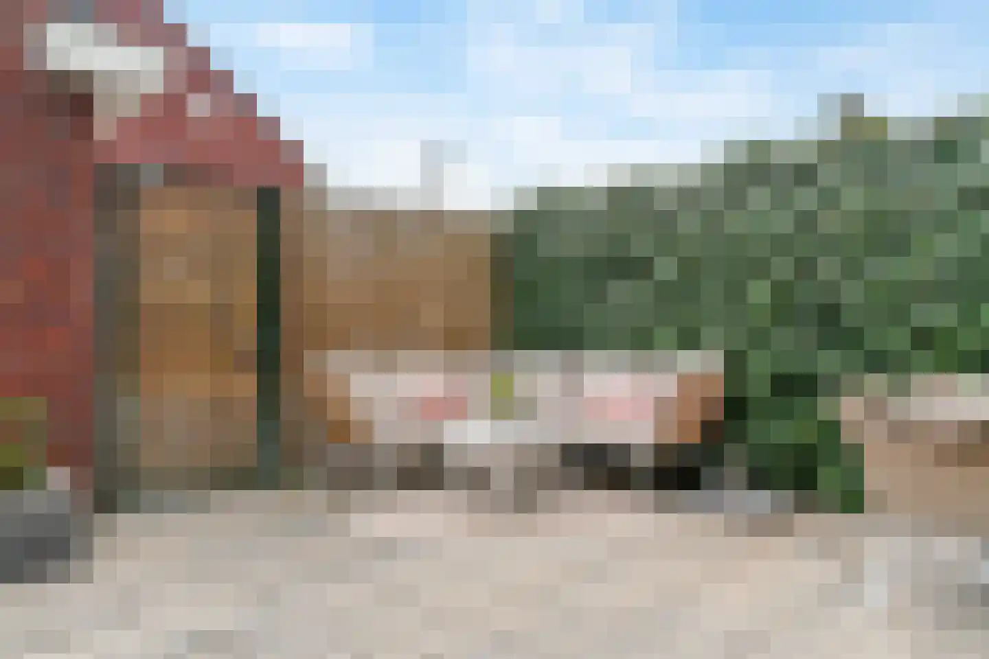 Rolwolk 10 De Meern thumbnail 31