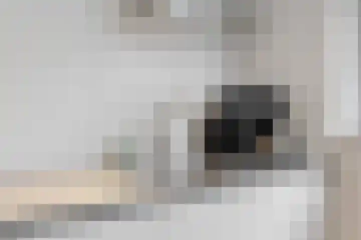 Rolwolk 11 De Meern thumbnail 10