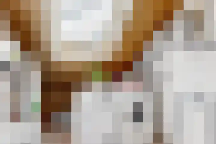 Rolwolk 11 De Meern thumbnail 27