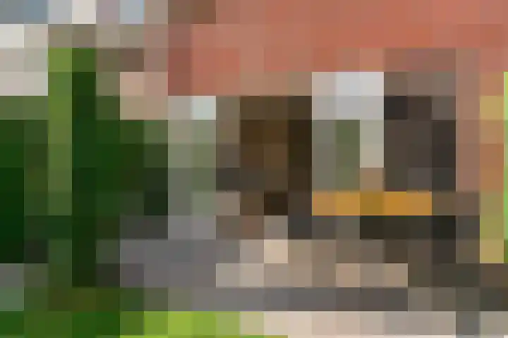 Rolwolk 11 De Meern thumbnail 29