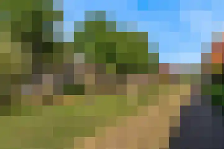 Rolwolk 11 De Meern thumbnail 33