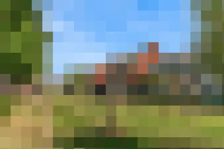 Rolwolk 11 De Meern thumbnail 34